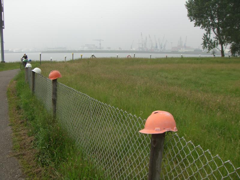 8 juni: Aan Nieuwe Waterweg bij Vlaardingen