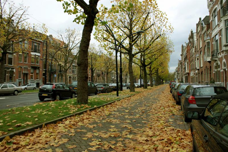 10 November: Mathenesserlaan, Rotterdam